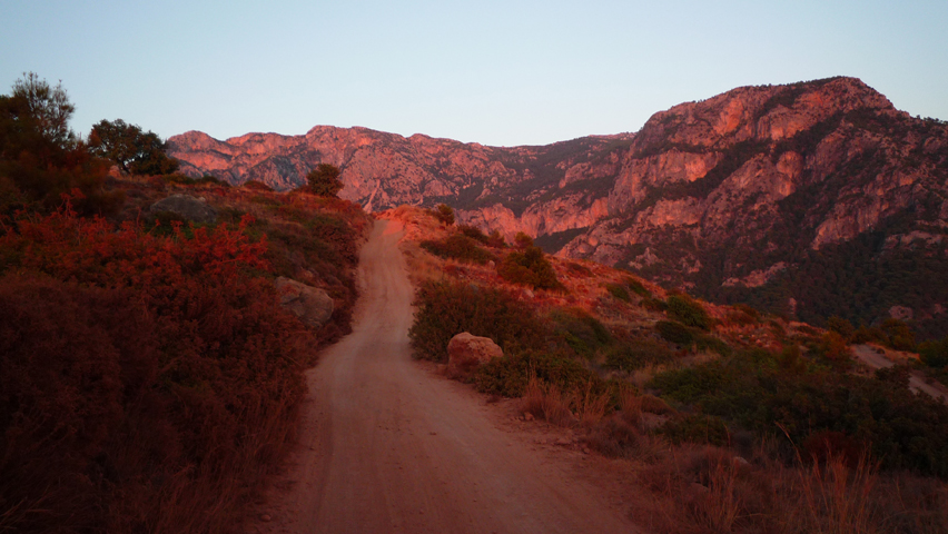 Kabak (83)
